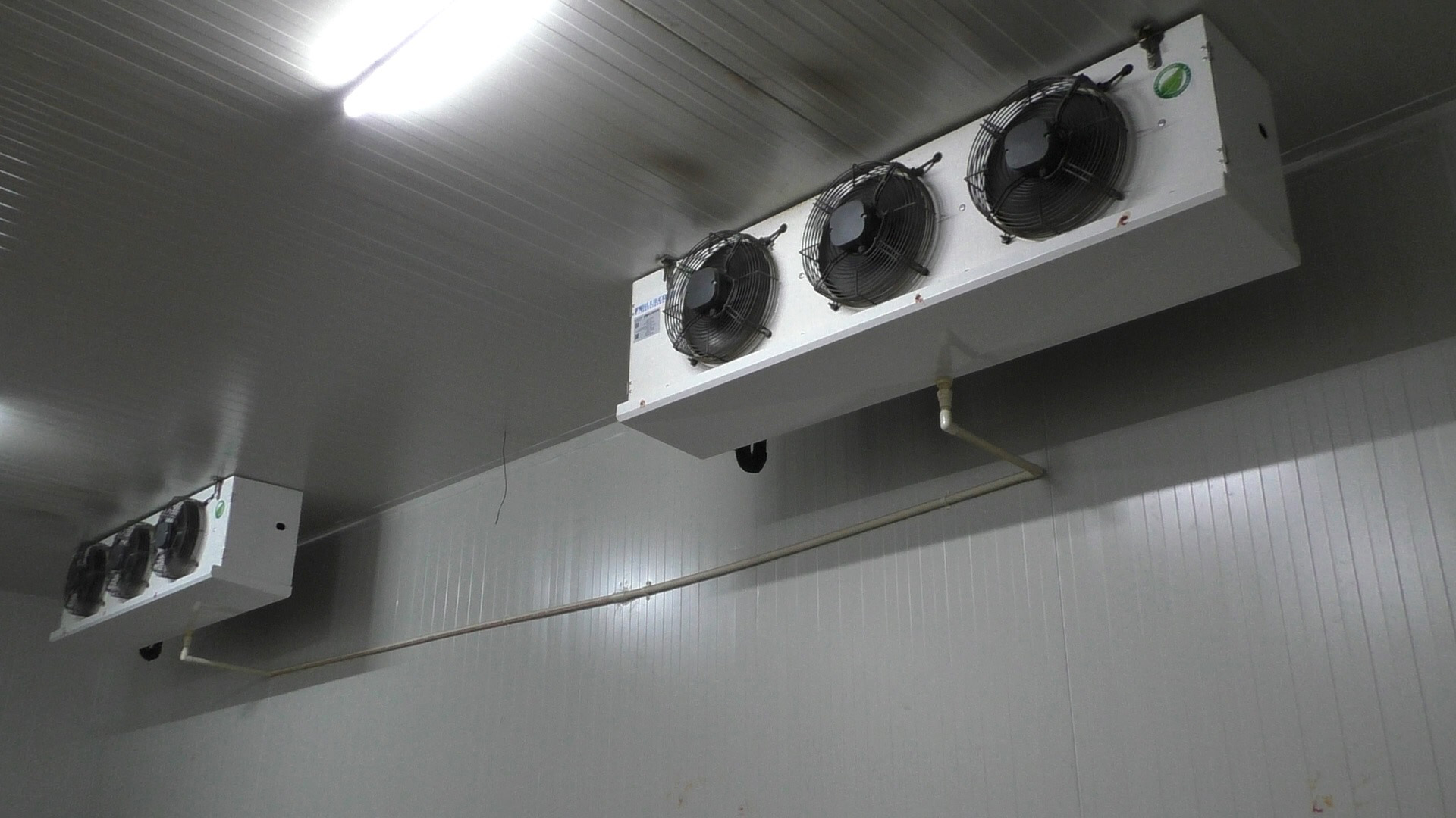 Cold Room for Mushroom Cultivation Chamber